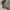Y2K Casual Parka Pria tan photo 4