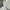 Streetwear Casual Harrington jacket Pria white photo 4