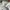Streetwear Casual Harrington jacket Pria white photo 5