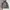 GAP Streetwear Casual Parka Pria gray photo 1