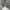 GAP Streetwear Casual Parka Pria gray photo 3