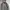 GAP Streetwear Casual Parka Pria gray photo 2
