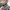 GAP Streetwear Casual Parka Pria gray photo 4