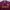 Umbro Casual Jersey Pria burgundy photo 6