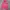MLB Vintage Hoody Pria pink photo 4