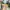 Converse Vintage Casual Casual shoe Pria yellow photo 2