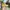 Converse Casual Casual shoe Pria yellow photo 1