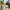 Converse Casual Casual Shoe Pria Yellow