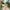 Converse Casual Casual shoe Pria yellow photo 2