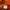 Windbreaker Pria orange photo 4