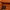 Windbreaker Pria orange photo 3