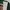 K2 Gorpcore Track jacket Pria green photo 3