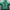 K2 Gorpcore Track jacket Pria green photo 1