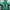 K2 Gorpcore Track Jacket Pria Green