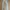 Pull & Bear Streetwear Skinny jeans Wanita silver white photo 2