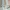 Pull & Bear Streetwear Skinny jeans Wanita silver white photo 1