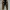 Kapital Kountry Streetwear Sportswear Sweatpants & Joggers Pria black photo 1