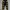 Kapital Kountry Streetwear Sportswear Sweatpants & Joggers Pria Black
