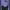 Polo Ralph Lauren Streetwear Crop top Wanita blue photo 1