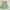 Lolita Fairy Midi dress Wanita green pink photo 1