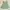Lolita Fairy Midi Dress Wanita Green Pink