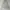Dickies Vintage Y2K Hoody Pria gray photo 1