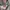 Dickies Vintage Y2K Hoody Pria gray photo 3