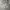 Dickies Vintage Y2K Hoody Pria Gray