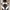 Adidas Streetwear Casual Windbreaker Pria white black photo 1