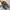 Nike Casual Sneakers Pria brown photo 5