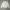 Guess Minimalist Casual Sweatshirt Wanita gray photo 4
