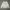 Guess Minimalist Casual Sweatshirt Wanita gray photo 1