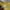 Vintage T-shirt Pria yellow photo 4