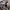 Lululemon Sportswear Casual Shoulder bag Wanita multicolor photo 6