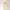 Polo Ralph Lauren Minimalist Casual Polo Shirt Pria Cream Yellow