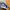 Nike Air Jordan Casual Sneakers Kids white blue photo 1