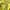 ECKO UNLTD Streetwear Y2K T-shirt Pria white yellow photo 3