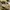 The Real McCoy's Vintage Streetwear Pria tan brown photo 6