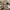 The Real McCoy's Vintage Streetwear Pria tan brown photo 5