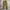 The Real McCoy's Vintage Streetwear Pria tan brown photo 2