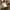 The Real McCoy's Vintage Streetwear Pria tan brown photo 8