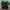 Forever 21 Streetwear Casual Harrington jacket Pria green photo 2