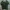 Forever 21 Streetwear Casual Harrington jacket Pria green photo 3