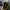 Superdry Streetwear Gorpcore Windbreaker Pria gray photo 6
