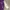 Y2K Casual Casual shirt Pria purple white photo 2