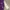 Y2K Casual Casual Shirt Pria Purple White
