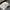 Angel Blue Streetwear Y2K High waisted jeans Wanita navy photo 6