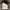 Adidas Y2K Sportswear Jersey Pria white black photo 5