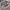 Dickies Casual Hoody Pria gray photo 2