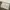 Lee Vintage Streetwear Casual pants Pria tan photo 6